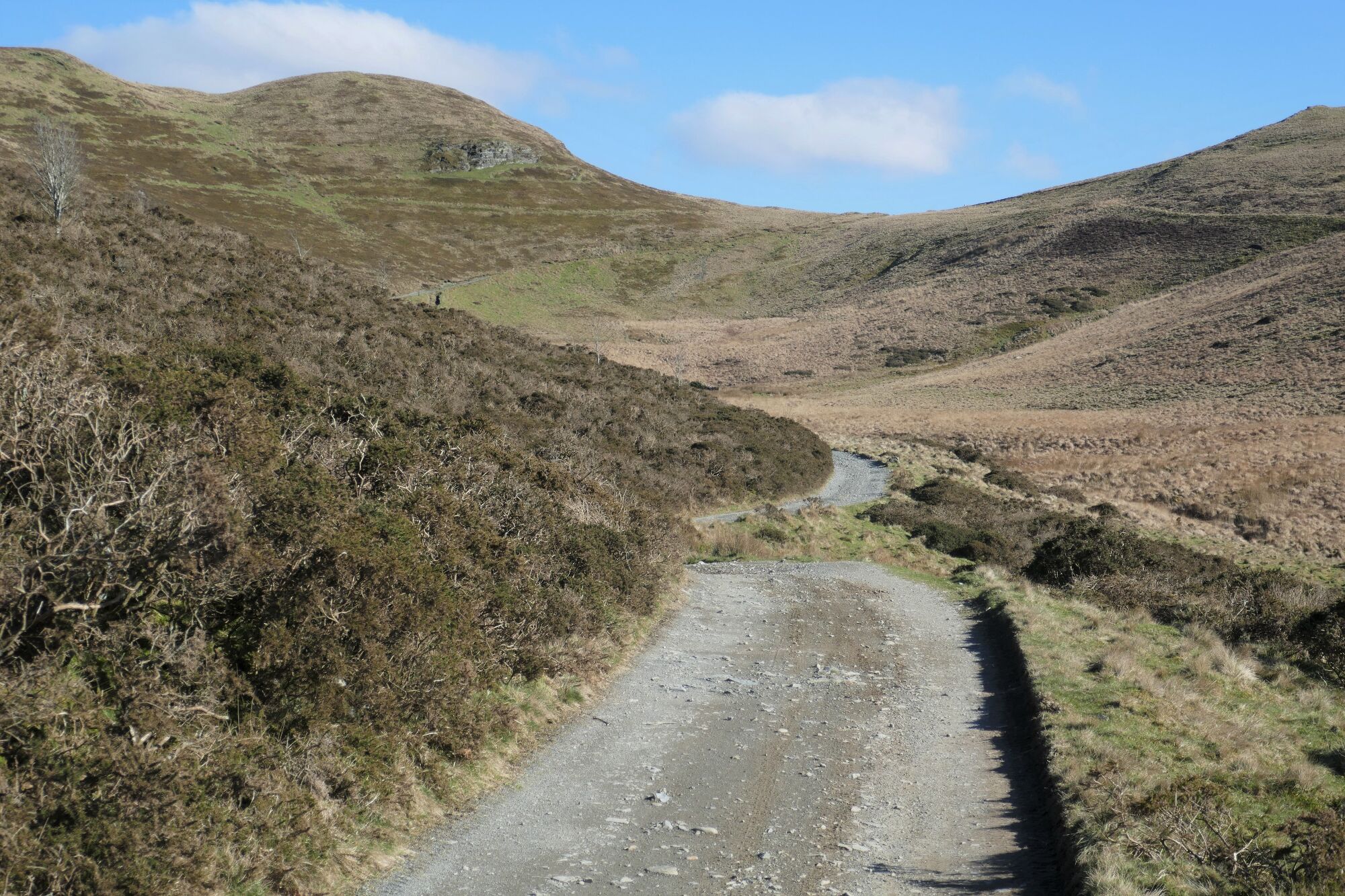 RachelSeabrook.net | Wild Walking | Cwm Cyneiniog and Craig y Pistyll | pic44